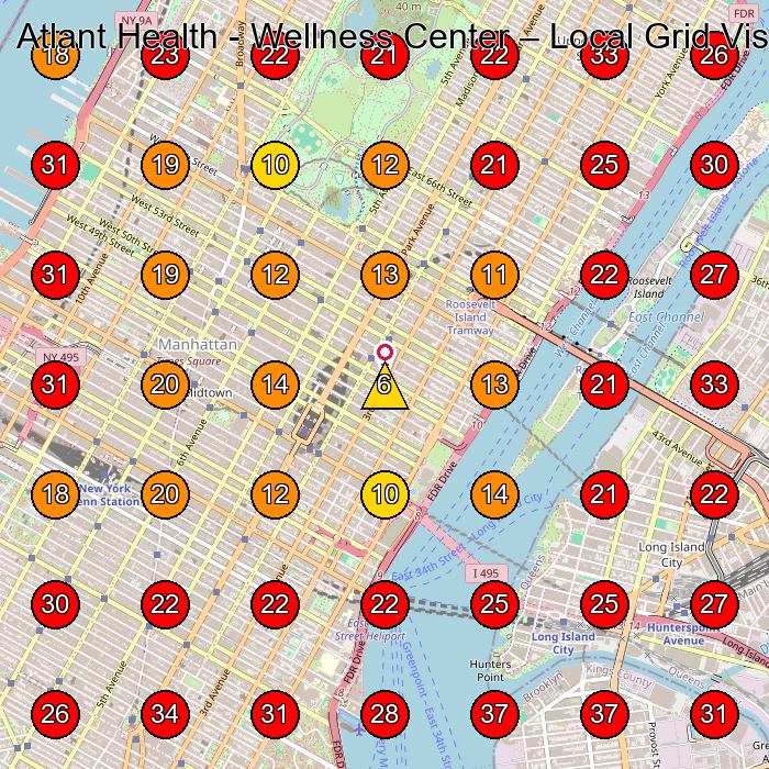 Atlant Health - Wellness Center GeoGrid visibility map for Wellness Center in New York